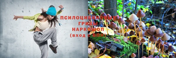 спиды Кукмор