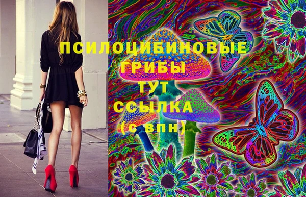 Альфа ПВП Кулебаки