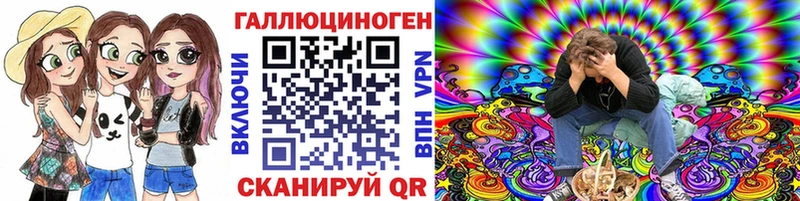 Купить где  Знаменск  Псилоцибиновые грибы мицелий 